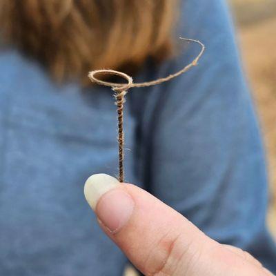 Santa Ysabel Open Space Preserve West