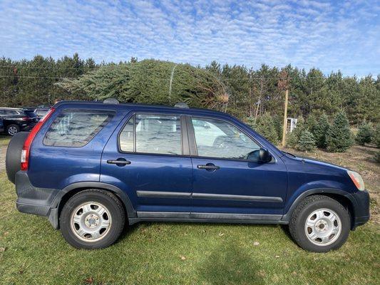 Robinson Family Christmas Tree Farm