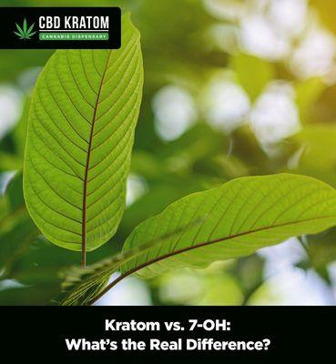 CBD Kratom