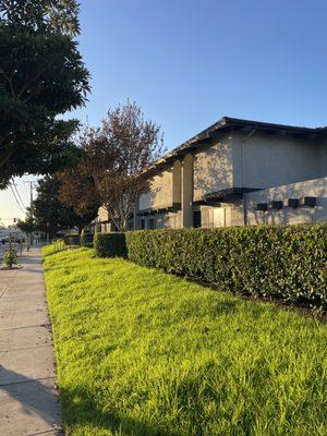 La Mirada Apartments