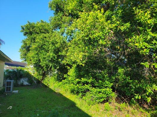 Friendly Touch Tree Service