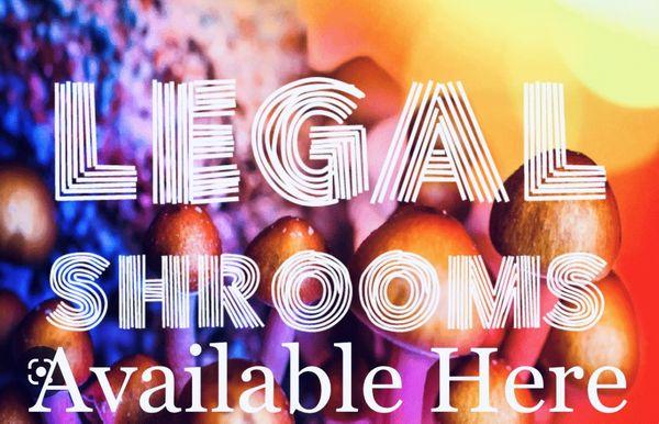 Magic Mushroom Shrooms