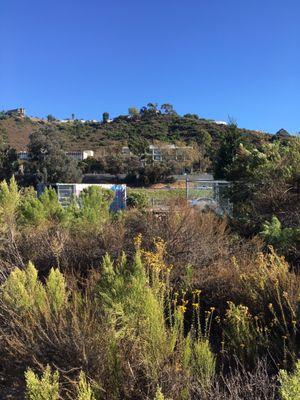 San Diego River Garden