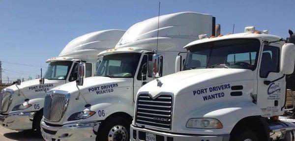 Coastal Trucking & Distribution