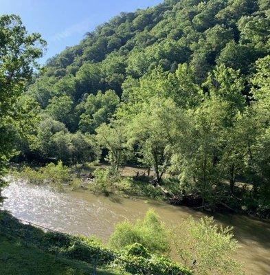 View of the river from outside room.