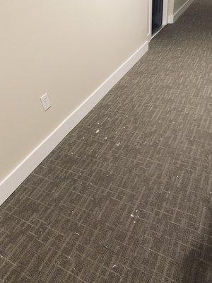 Interior hallway, just down from my door.  Been like that for 2 weeks.