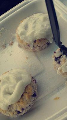 blueberry biscuits. 4pack combo.