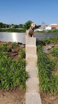 Entrance on West end of trail
