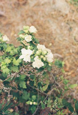 Bedford Camera & Video