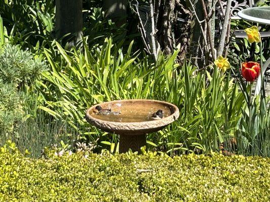 Buena Vista Manor House