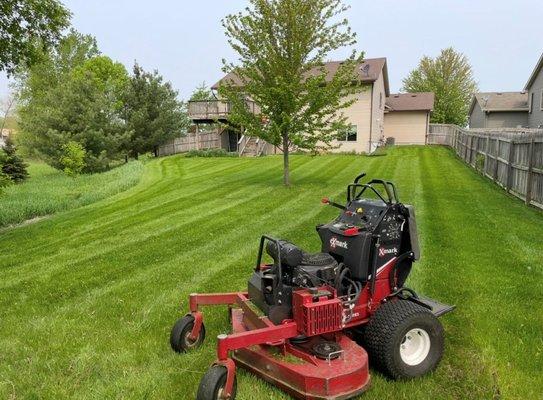 K & N Property Services