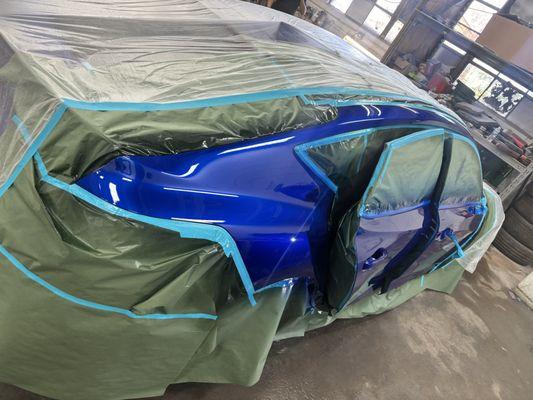 Pintado