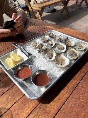 Oysters