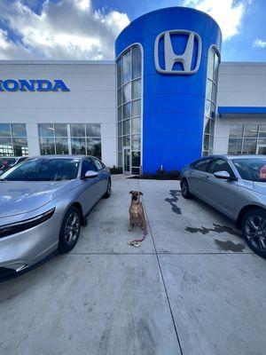 McGrath Honda