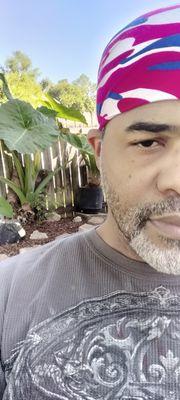 "ABUNDANCE Restored!"