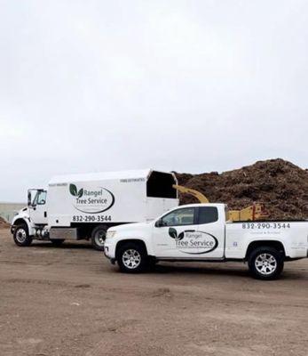 Rangel Tree Service