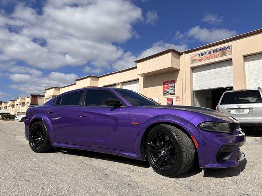 Allstate Window Tint & Blinds