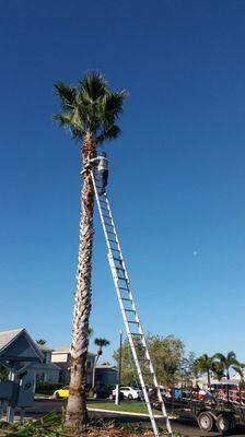 Gomez J Landscaping LLC