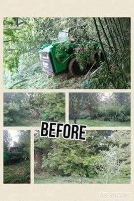 Reilly's Tree Service