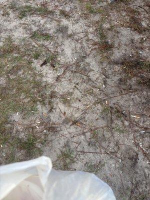 Andrews Place Apartments Homes