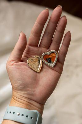 I chose a photo of my dog Darby from a Valentine's Day photoshoot we did last year