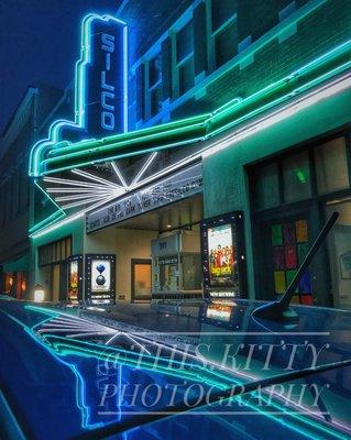 Silco I by @This.Kitty Photography at Silver City Copper Quail