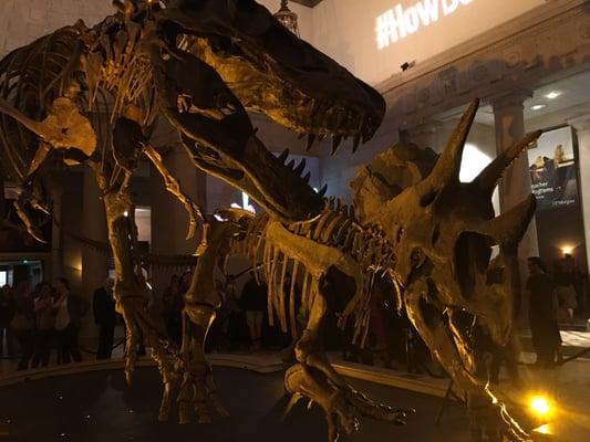 First Fridays at NHM