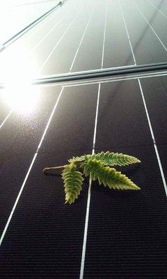 Too Clean Solar & Electric