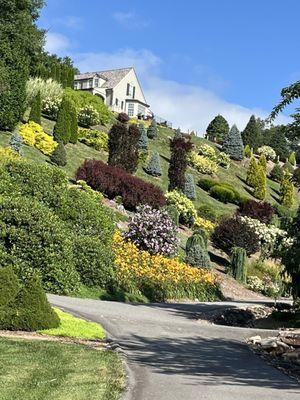 Small portion Arborcrest Gardens