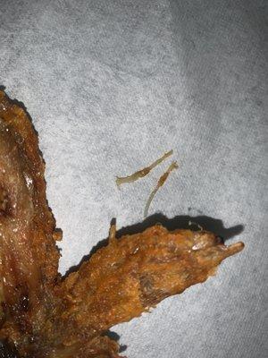 eating my chicken wings . and I see feather picks... like the stick that holds the feather on the chicken. so disgusting.