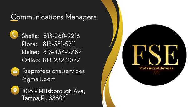 Fse Professional Services