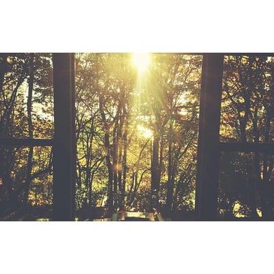 Terrace Crest Apartments