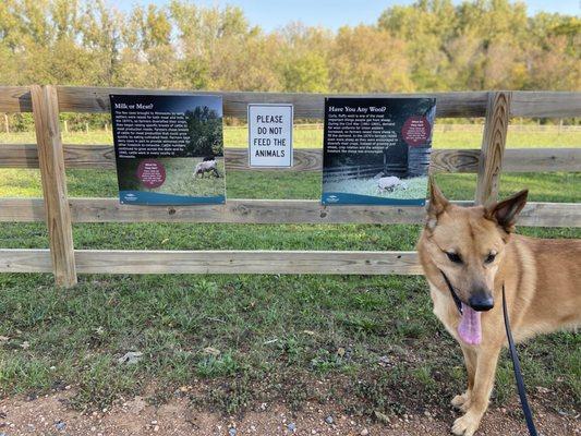 Three Rivers Park District