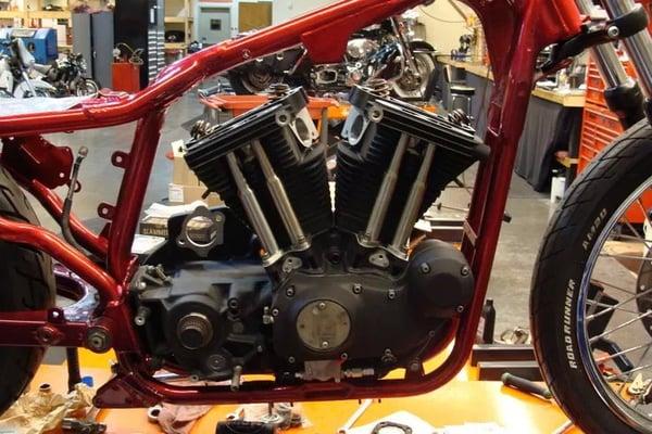 XLerated Customs & Cycles