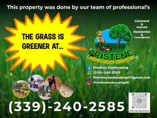 Pristine Landscaping Services