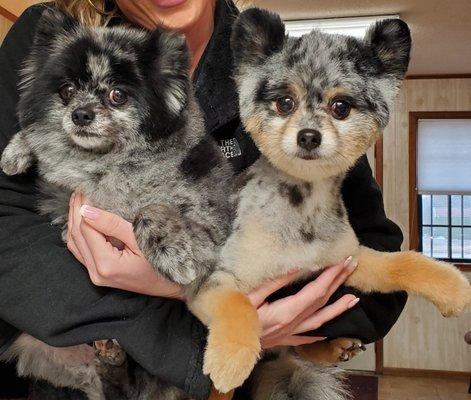 Bark About It of Dardanelle