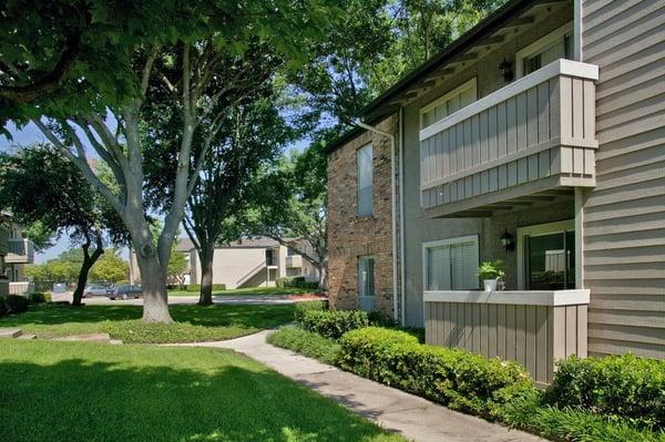 The Chase in The Village