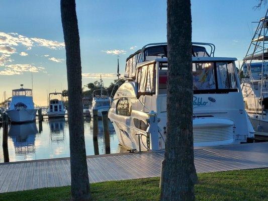 Topside Boat Cleaning