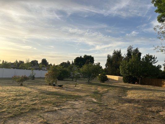 Valencia Landscaping and Tree Services