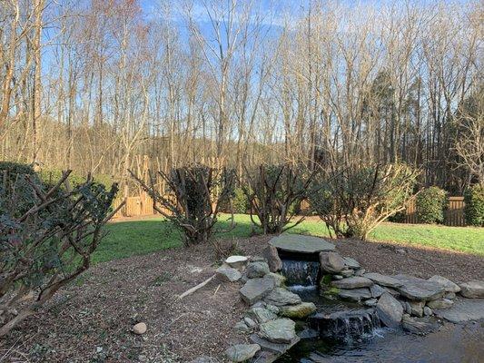 Tree was removed and bushes trimmed down low as requested.