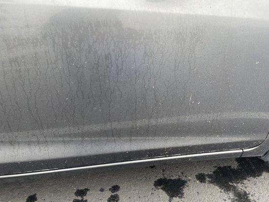 The grass didn't even get washed off