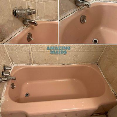 Eliteness Cleaning Maid Service of Columbia