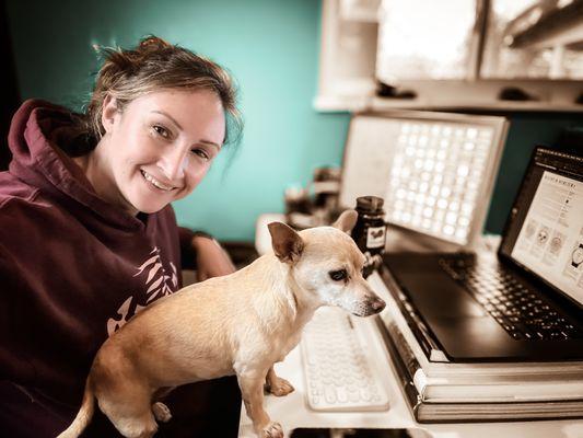 Evergreen Design Studio