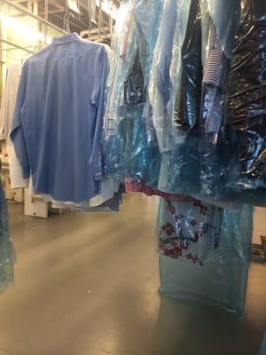 Exclusive Cleaners of Weston