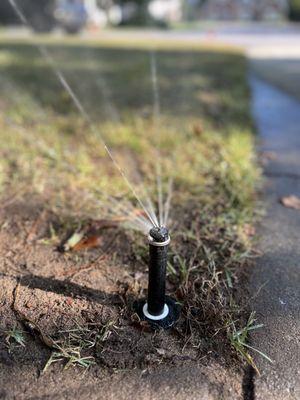 Zone1 Sprinkler Repair-Landscp