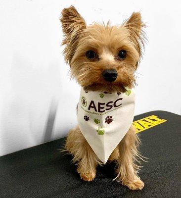 Best Impressions Promotional Products