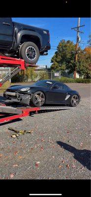 Royal Alignment and Collision