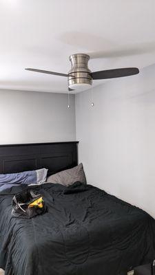 Professional Projects