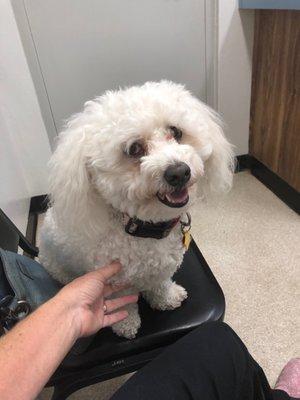 Spruce Creek Animal Clinic