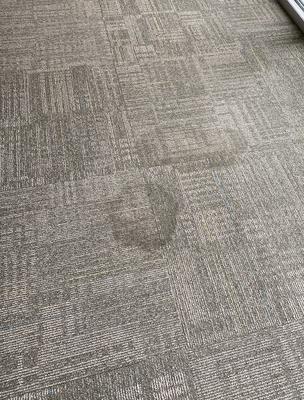 Lofts at Watters Creek